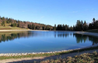 Concours de pêche