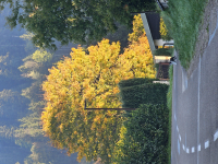 50 nuances d'automne